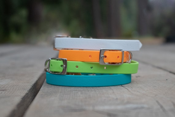 Etsy 2025 biothane collar