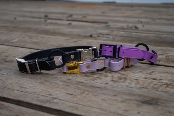 Sportdog quick release collar sale