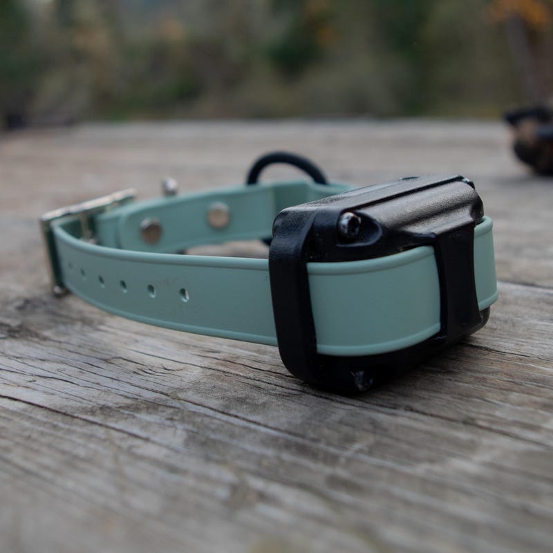 3/4 Dog Buckle - Etsy UK