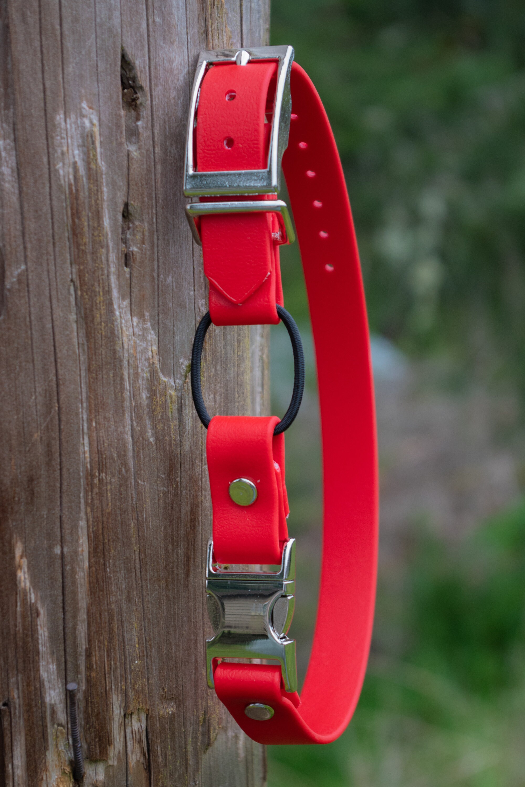 3/4 Quick Release Bungee Ecollar Strap Etsy Canada