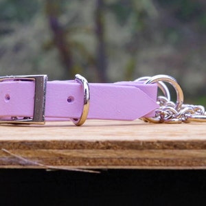 3/4&quot; Chain Martingale Biothane Dog Collar