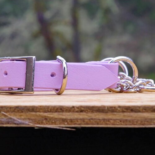 1 Chain Martingale Biothane Dog Collar Etsy
