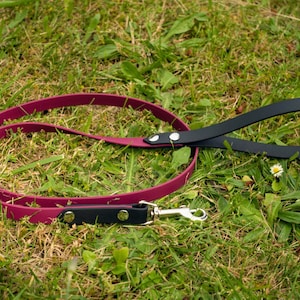 5/8” Two-Color Biothane Dog Leash