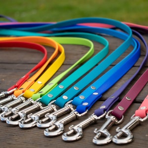 1/2&quot; Biothane Dog Leash