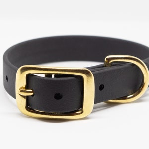 5/8&quot; Biothane Dog Collar