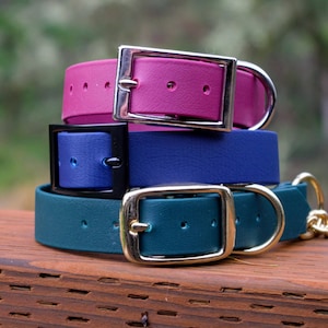 1&quot; Biothane Dog Collar