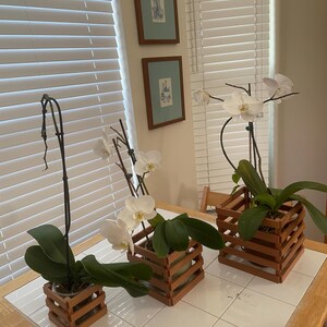 May include: Three potted orchids with white flowers and green leaves sit in decorative wooden crates on a tiled surface. The crates have a slatted design. Two framed pictures hang on the wall in the background.