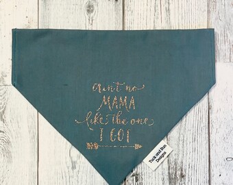 Ain't No Mama Like the one I got Dog Bandana, slide on over the collar Bandana, Cat Bandana, Dog Mom Gift