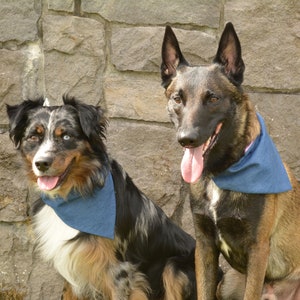 Classic Denim Over The Collar Bandana - Personalized Dog Bandana - Custom Dog Bandana