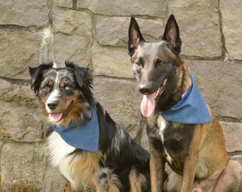 Classic Denim Over The Collar Bandana - Personalized Dog Bandana - Custom Dog Bandana