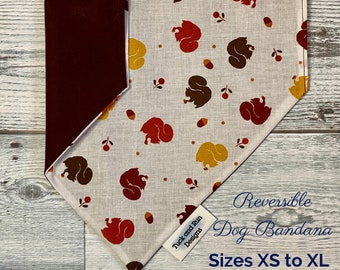 Squirrel Patrol over the collar reversible dog bandana//Personalized dog bandana//Funny dog bandana//dog lover gift//custom dog scarf