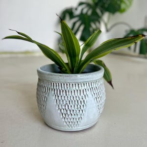 Aqua Scalloped Ceramic Planter 6 inch