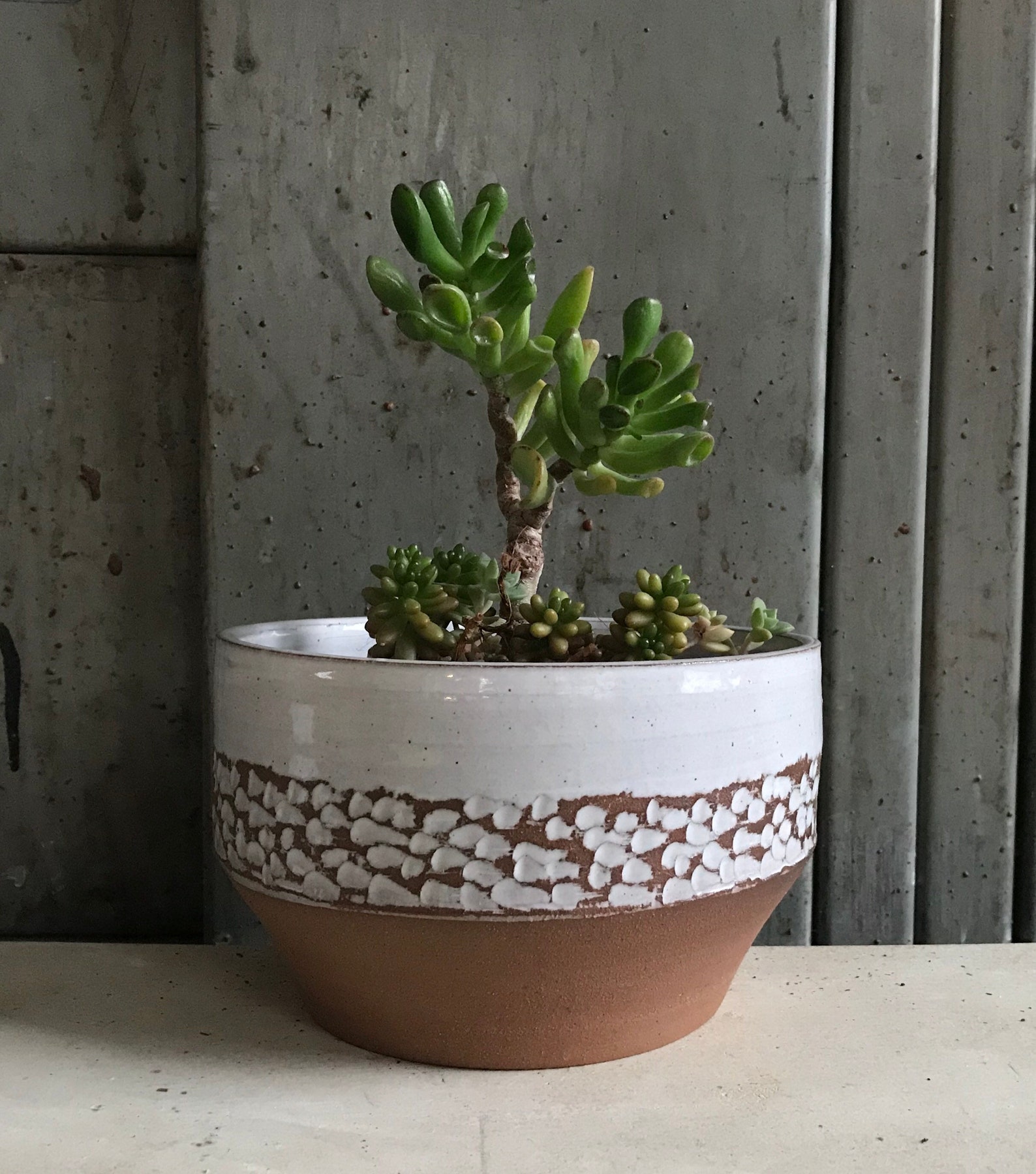 Handmade Ceramic Indoor plant pot Etsy
