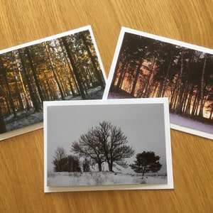 May include: Three greeting cards featuring different forest scenes. The first card depicts a forest with golden leaves bathed in sunlight. The second card shows a forest with a pink and orange sunset. The third card shows a single tree in a snowy forest.