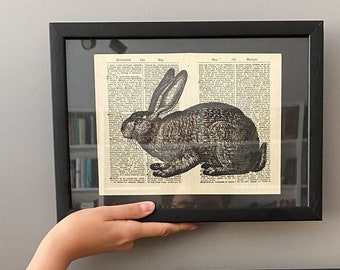 1800-tals pappersgrafik - vintage djurillustration