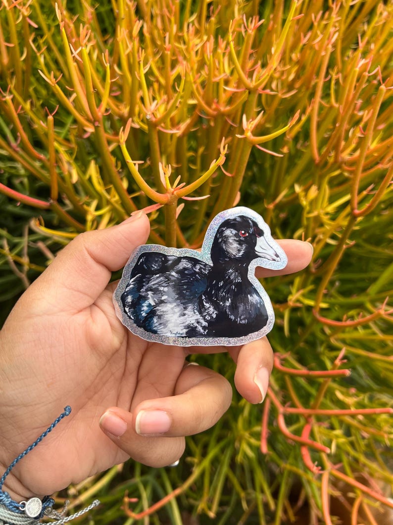 Coot Glossy Pixie Dust Glitter Sticker: American Coot Painting ...