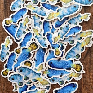 Puede incluir: Una colección de pegatinas de peces azules y amarillos. Los peces son de diferentes tamaños y formas, y están dispuestos en un patrón aleatorio. Las pegatinas están sobre una superficie de madera.