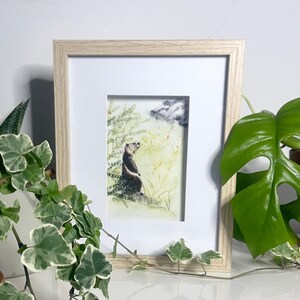 Watercolor Postcard, A6 Poster, Watercolor Marmot, Timeless Postcard