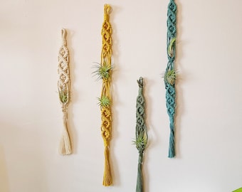 Juego de plantas de aire y soporte para plantas de aire/colgador de plantas de aire/colgador de plantas de aire de macramé/exhibición única de plantas de aire/terrario de plantas de aire/colgador de plantas/Boho