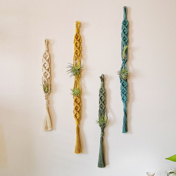 Air Plants and Air Plant Holder Set/Air Plant Hanger/Macrame Air Plant Hanger/Unique Air Plant Display/Air Plant Terrarium/Plant Hanger/Boho