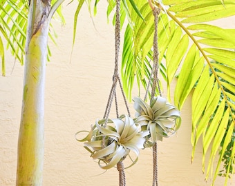 Soporte de planta de aire grande al aire libre/percha de planta de aire grande/percha de planta de aire Macrame/exhibición de planta de aire colgante/planta de aire única/regalo de planta de aire