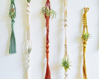 Plantas de aire y juego de soportes de plantas de aire/Conjunto de perchas de plantas de aire/Percha de plantas de aire Macrame/Planta de aire única/Planta de pared de plantas de aire/Regalo/Decoración de plantas de aire