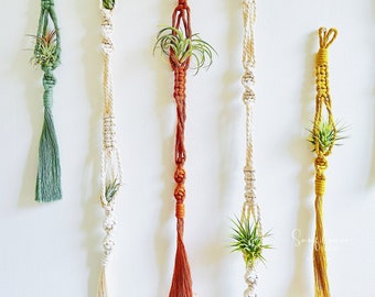 Air Plants & Air Plant Holder Set/Air Plant Hanger Set/Macrame Air Plant Hanger/Unique Air Plant/Air Plant Wall Planter/Air Plant Gift/Decor