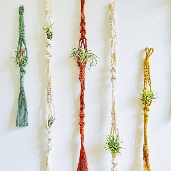 Air Plants & Air Plant Holder Set/Air Plant Hanger Set/Macrame Air Plant Hanger/Unique Air Plant/Air Plant Wall Planter/Air Plant Gift/Decor