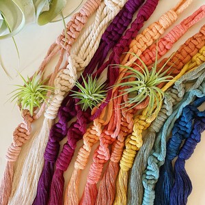 May include: A collection of colorful macrame plant hangers with tassels. The hangers are made with natural cotton cord and feature a variety of colors, including natural, burgundy, orange, yellow, green, and blue.
