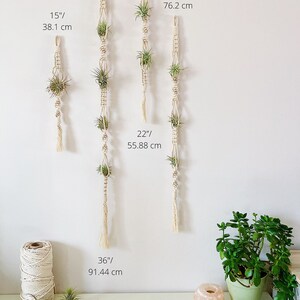 May include: Four macrame plant hangers in various sizes, ranging from 15 inches to 30 inches. The hangers are made of natural cream-colored cord and feature a tassel at the bottom. The hangers are displayed against a white wall with small air plants in each.