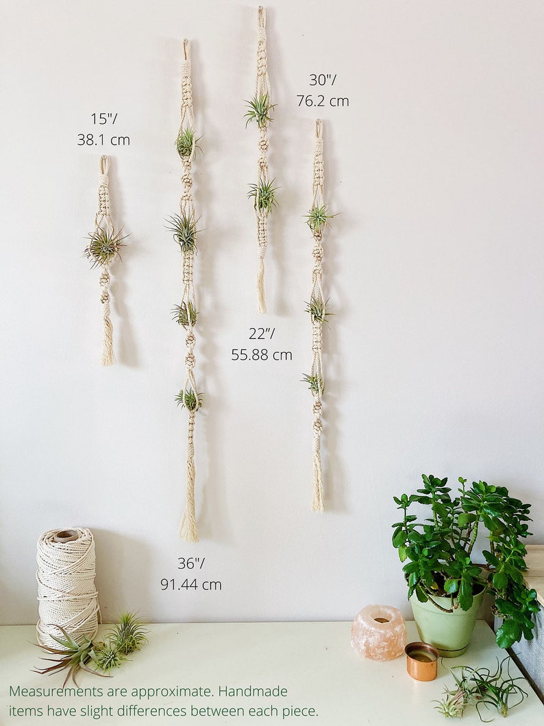 May include: Four macrame plant hangers in various sizes, ranging from 15 inches to 30 inches. The hangers are made of natural cream-colored cord and feature a tassel at the bottom. The hangers are displayed against a white wall with small air plants in each.