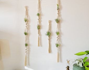 PDF Macrame Air Plant Hanger Pattern/Download Macrame Tutorial/Hanger Macrame Pattern/Unique Air Plant Display/DIY Macrame/Macrame Supplies