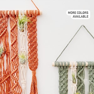 Air Plants and Air Plant Holder Set/Air Plant Hanger/Macrame Air Plant Hanger/Unique Air Plant Display/Air Plant Terrarium/Plant Hanger/Boho