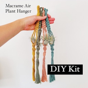 DIY Kit Macrame Air Plant and Air Plant Holder Set/Air Plant and Hanger Macrame Kit/Plant Gift/Unique Air Plant Display/DIY Craft Kit