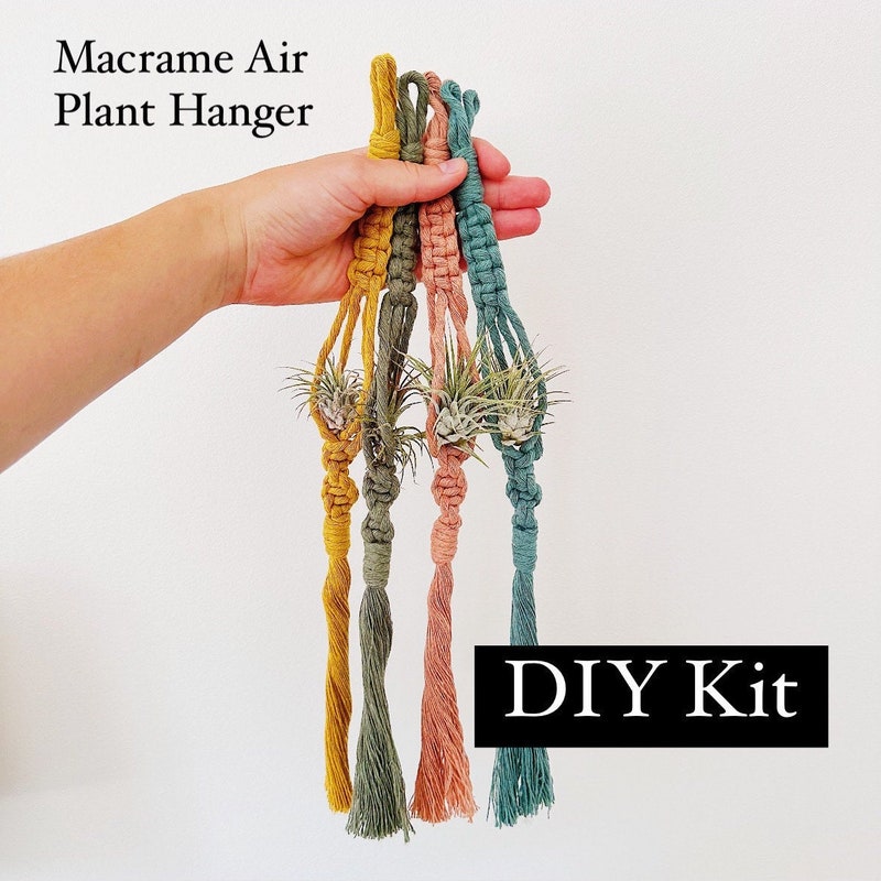 Macrame Plant Hanger Set - Etsy