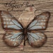 Butterbliss L