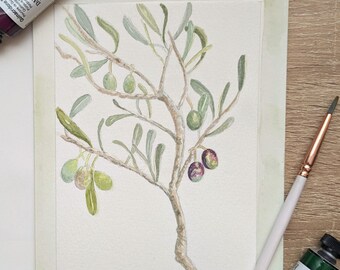 Hand Painted Olive Branch Watercolor Card, Original Watercolor Card, 5 x 7 inches