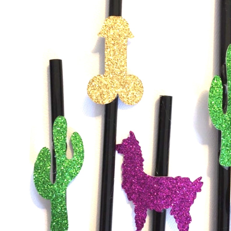 Final Fiesta Bachelorette Party Fiesta Bachelorette Straws Penis Straws Cactus Straws