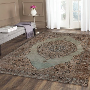 Pu&ograve; includere: Un tappeto in stile vintage con un centro blu chiaro e intricati motivi marroni e beige. Il tappeto ha un aspetto sbiadito e usurato, che gli conferisce un aspetto unico e antico.