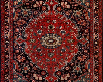 Tappeto orientale con medaglione rosso, rustico, moderno, di metà secolo, piccolo, grande, rosso, blu scuro, di grandi dimensioni, per soggiorno, camera da letto, sala da pranzo