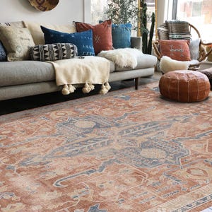 Può includere: Un grande tappeto con un motivo intricato in tonalità ruggine, beige e blu. Il tappeto è steso su un pavimento in legno in un soggiorno.