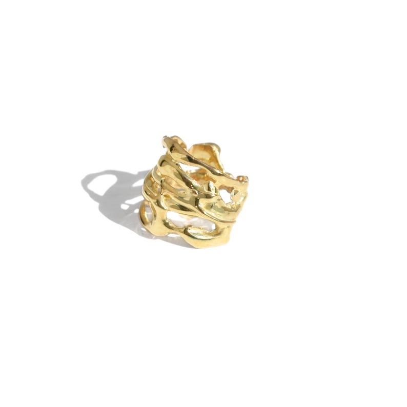 Bold organic gold ring with fluid, sculptural openwork design, handcrafted for a modern artistic style.