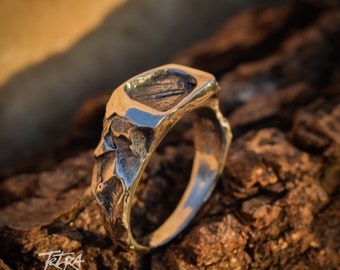 Anillo de sello - Anillo oxidado - Anillo de hombre - Alianza de bodas - Regalo de novio - Meñique - Anillos de sello de plata - Rústico - Anillo único - Anillo vintage