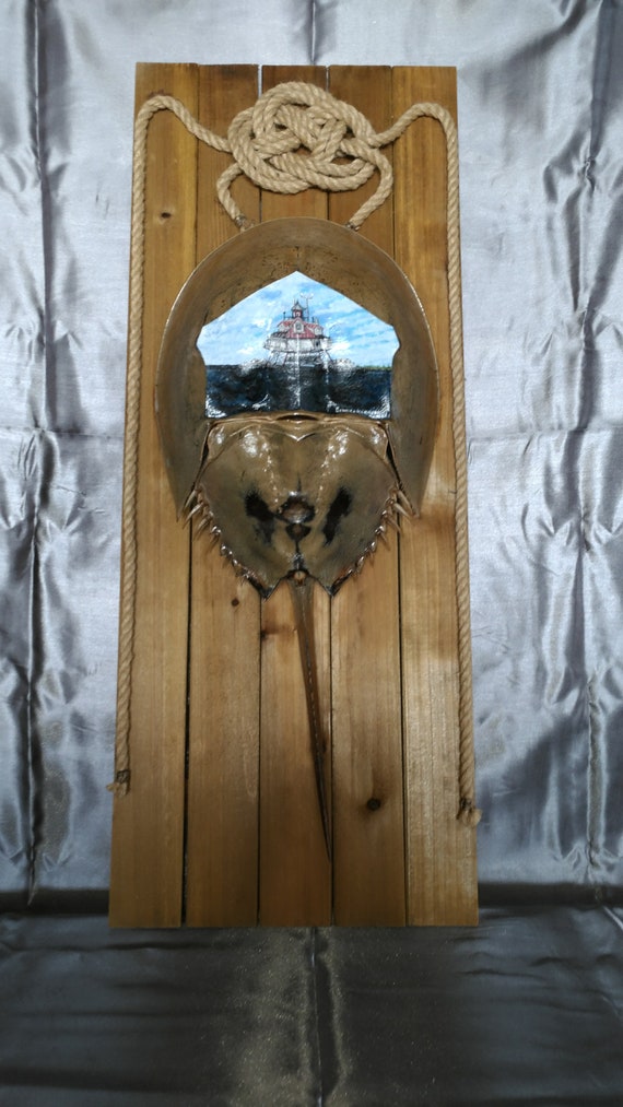 Horseshoe Crab Lighthouse Wall Hanging Etsy