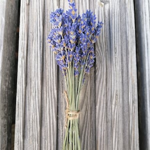Natürliche getrocknete Lavendel, Lavendesäckcken