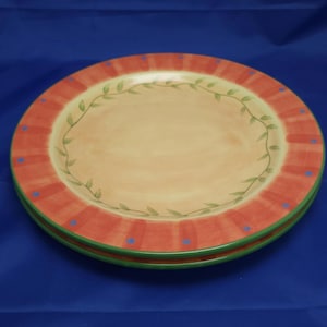Pfaltzgraff Napoli Set of 2 Hand-Painted Ceramic Dinner Plates 11.5&quot; Coral Rim