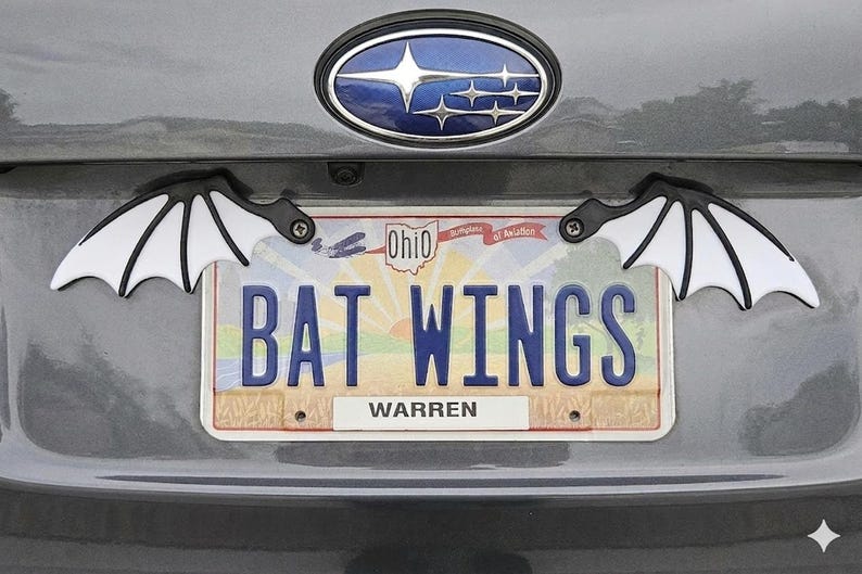 May include: A car's license plate with the text "BAT WINGS" and a "Warren" nameplate. Attached are black and white bat wing decorations. The license plate is from Ohio.