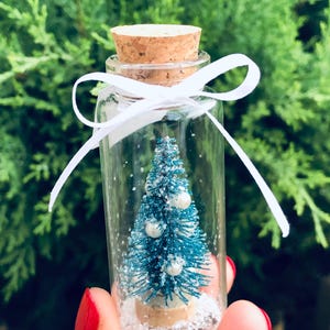 Può includere: Un albero di Natale in miniatura all'interno di una bottiglia di vetro trasparente con tappo di sughero e nastro bianco. L'albero turchese ha ornamenti bianchi e poggia su glitter bianchi. La bottiglia è alta circa 7,6 cm.