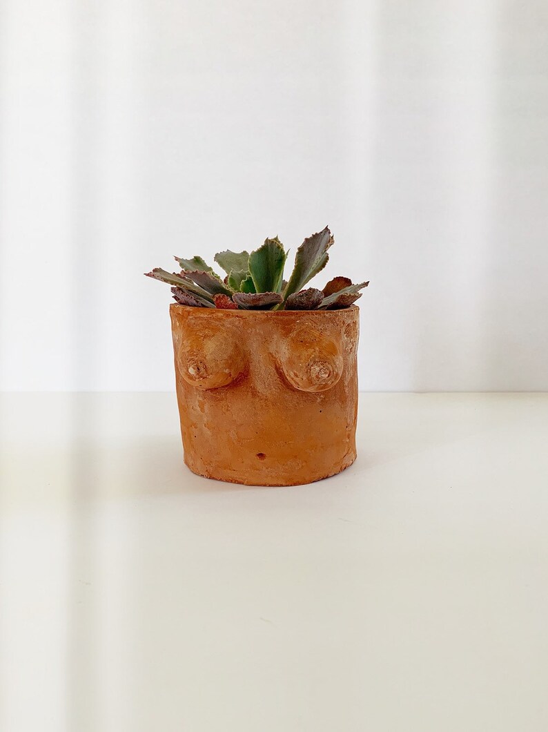 Planter Only Large Plaster Boobie Planter Terracotta