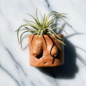 Planter Only Large Plaster Boobie Planter Terracotta